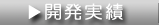 開発実績